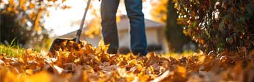 Fallen leaves and neighbourly disputes: when nature trespasses on your property